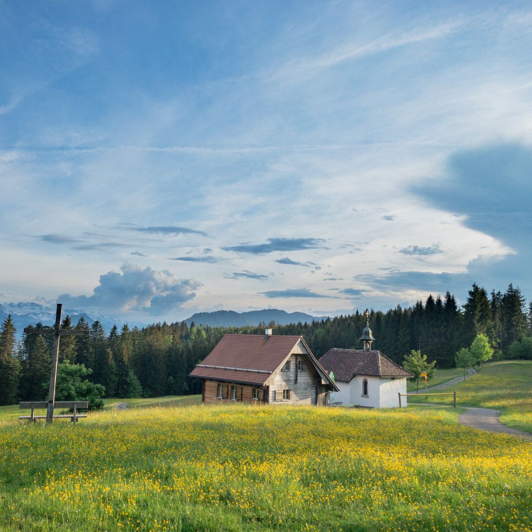 L’Affascinante Mondo dell’Agriturismo in Italia: Una Guida per il 2024